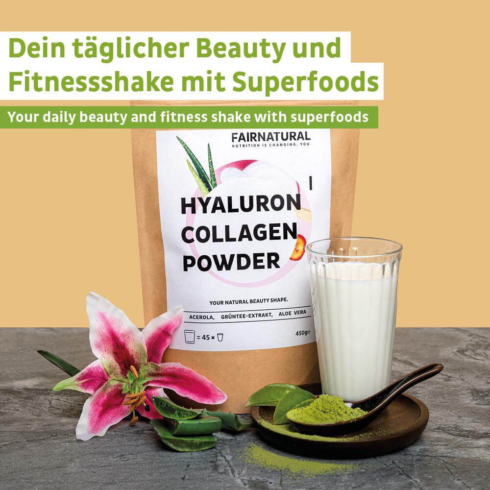 Collagene ialuronico in polvere 1 confezione (450 g)
